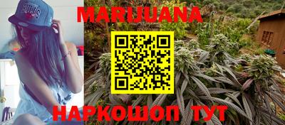 гидра Апрелевка