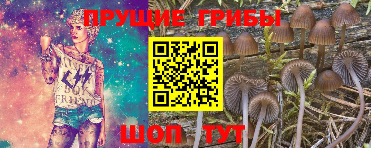 Воркута  Псилоцибиновые грибы Magic Shrooms  Вход с VPN 
